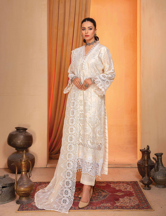 Noor e Chasham by Aalaya Lawn Vol 04 '24 D#03