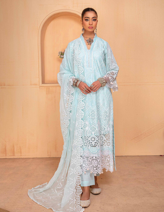 Noor e Chasham by Aalaya Lawn Vol 04 '24 D#06